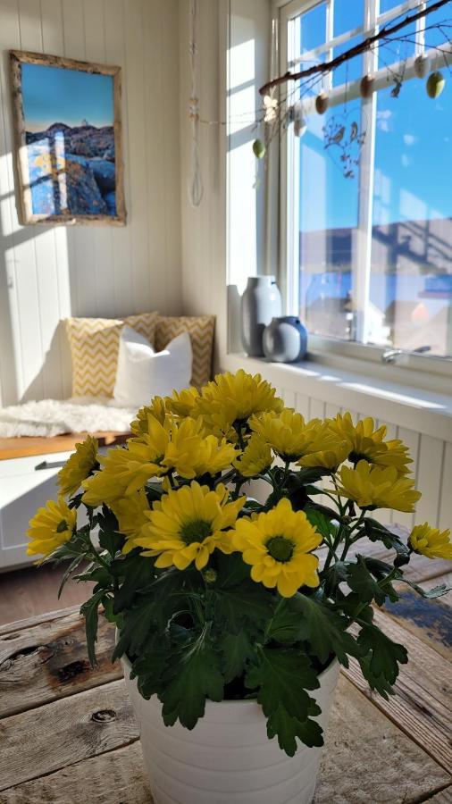 Haramsoy Holiday Apartment- Island Life North Eksteriør bilde